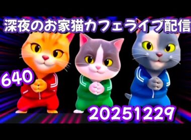 深夜のお家猫カフェライブ配信 640