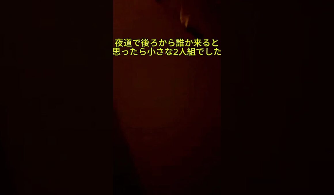 助けを求めてる？夜道にずっと後ろからついて来る子猫