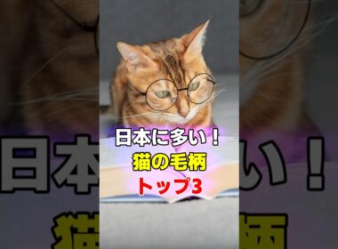 日本の猫柄ランキング！日本に多い猫の毛色の特徴や性格　#猫の模様 #猫 #ねこ