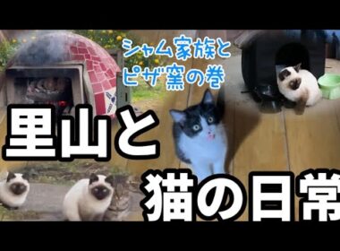 シャム家族とピザ窯調理　里山の日常生活