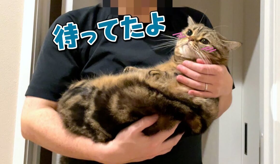 パパが来るまで寝ないで待ってる寂しがりや猫が可愛すぎる！