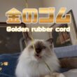 バーマン猫ラフとウリ【金のゴム】Golden rubber cord（バーマン猫）Birman/Cat