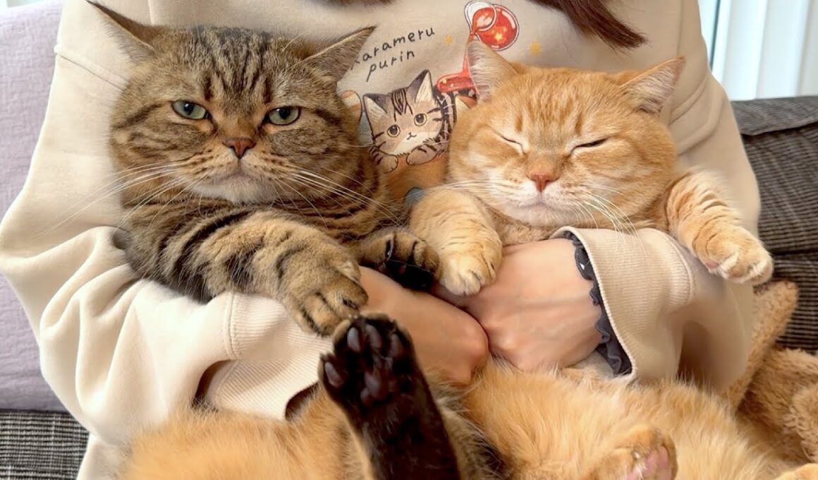 2025年、今年もありがとうございました！