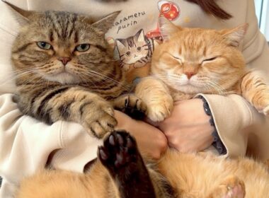 2025年、今年もありがとうございました！