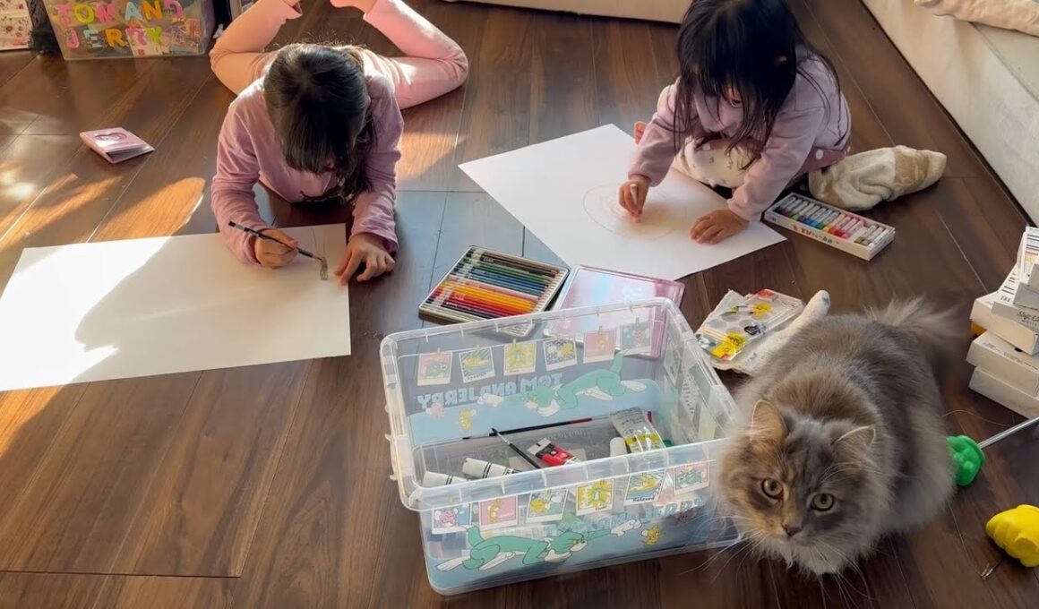 作品見学する猫　サイベリアンA cat looking at the artwork. Siberian