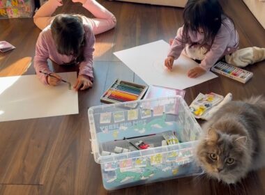 作品見学する猫　サイベリアンA cat looking at the artwork. Siberian