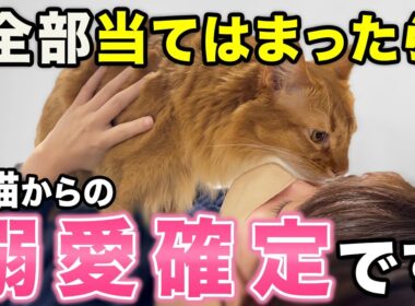 【え、これも！？】猫が溺愛している人だけに見せる愛情サイン17選