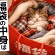 【AI】福袋の開けたら…子猫が寝てました。