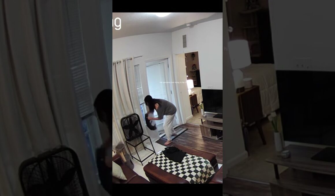 @elizabethlemoss: Milo: “Hey so when you get a chance…” #cat #kitty #kitten