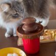 初めて見るチョコフォンデュを見学する猫　ラガマフィン　サイベリアンA cat observing chocolate fondue for the first time.