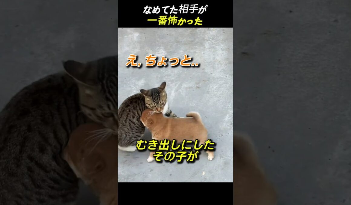 なめてた相手が 一番怖かった