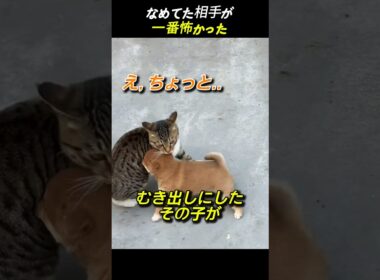 なめてた相手が 一番怖かった