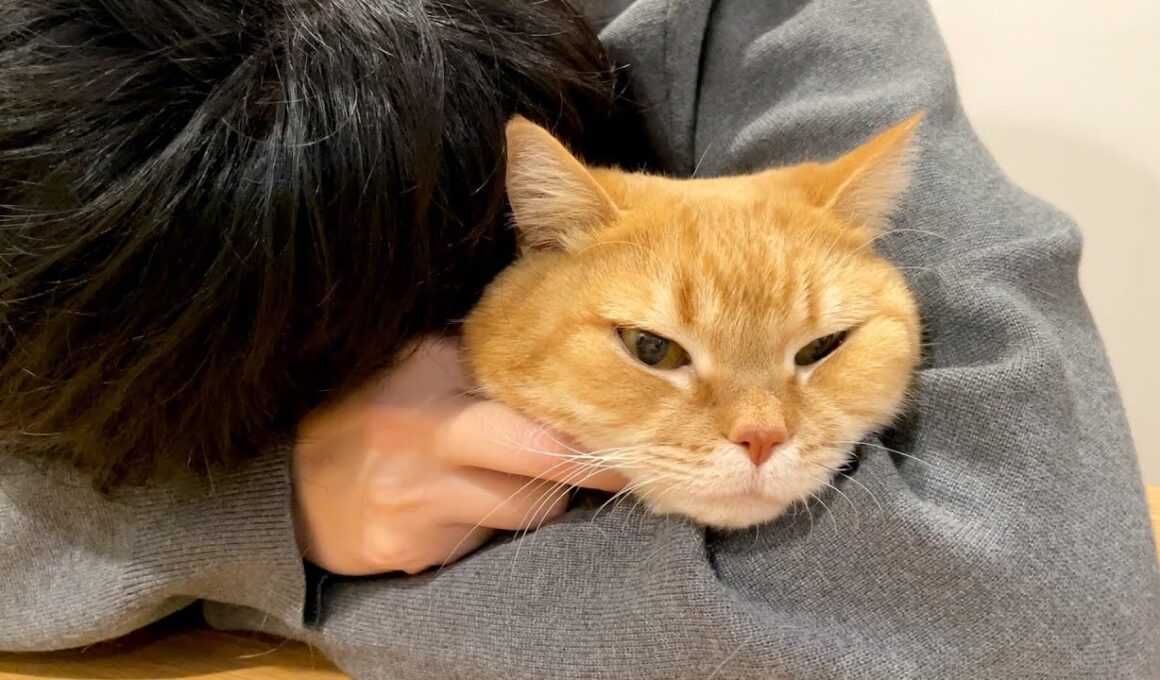 抱き枕にされてご機嫌な猫