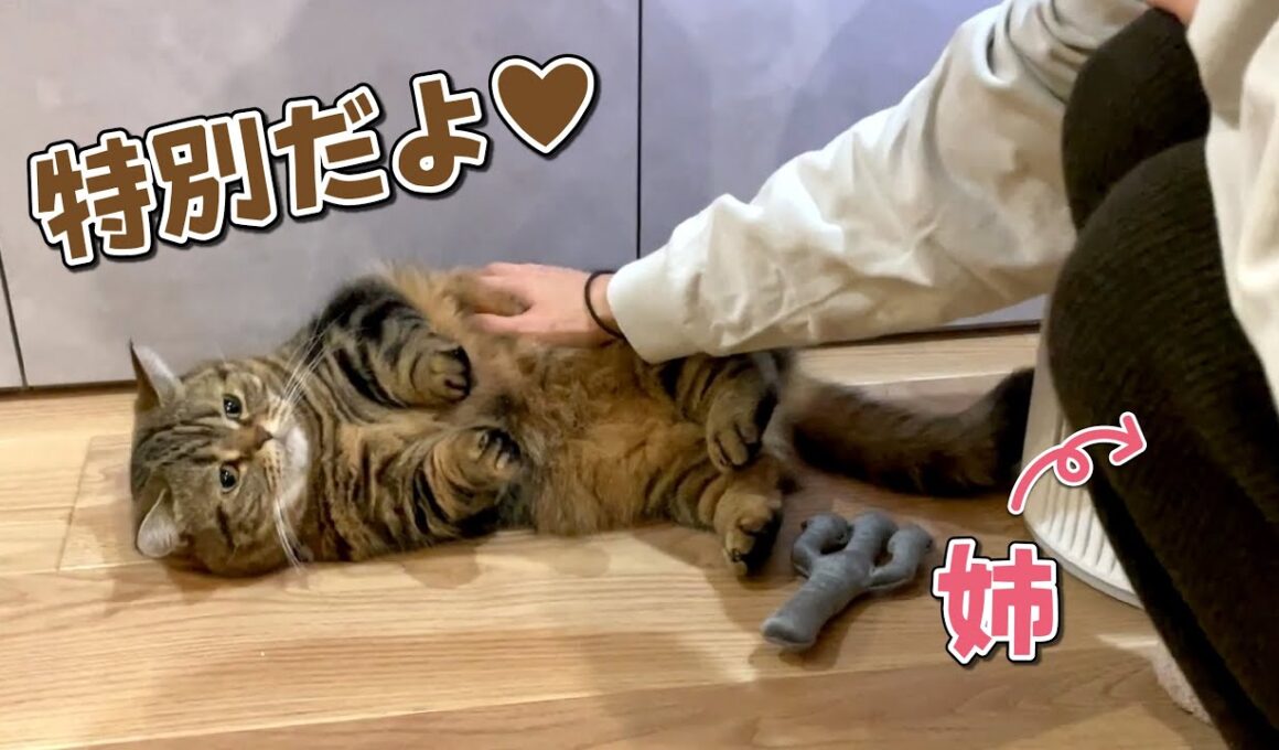 初めて泊まりに来た姉をおもてなしする猫たちが可愛すぎた！