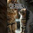 その日、序列が変わった。猫が“家族の順位”を更新する決定的瞬間　 #猫 #雑学 #ねこ #猫のいる生活 #猫好き #猫の雑学 #ネコ #名もなき風景 #cat