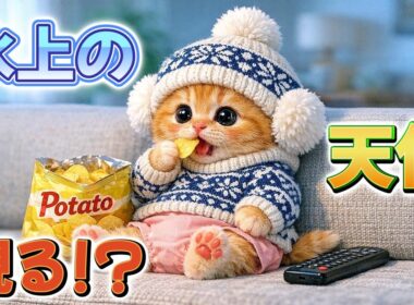 【AI子猫ピコ】はじめての挑戦！転びそうになっても前に進むピコの姿が尊すぎた！