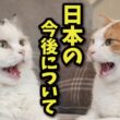 猫たちが戦争や日本の今後について真剣に話していました