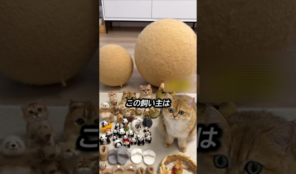 子猫のために体から『これ』を差し出した猫たち😸💕