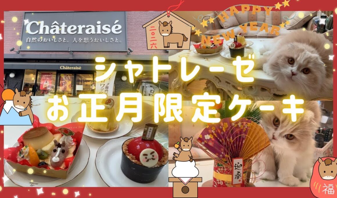 【スコティッシュフォールド】シャトレーゼお正月限定ケーキ2026㊗️縁起物ケーキ/シャトレーゼスイーツ/シャトレーゼおすすめ/Chateraise