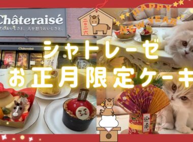 【スコティッシュフォールド】シャトレーゼお正月限定ケーキ2026㊗️縁起物ケーキ/シャトレーゼスイーツ/シャトレーゼおすすめ/Chateraise