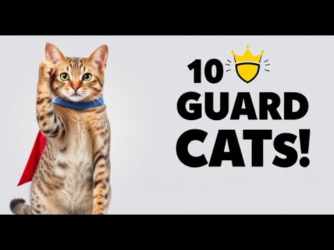 「番猫」のような役割を果たす10種類の猫種