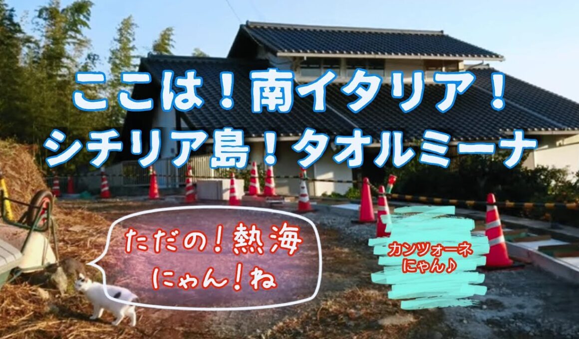 【さんぽねこのゆきちゃん】熱海生まれのジャパニーズ・ボブテイルという猫│さんぽねこのゆきちゃん│のんびりでのどかな唯一無二の家猫の町散歩│熱海│伊豆│猫のいる暮らし│保護猫│野良猫
