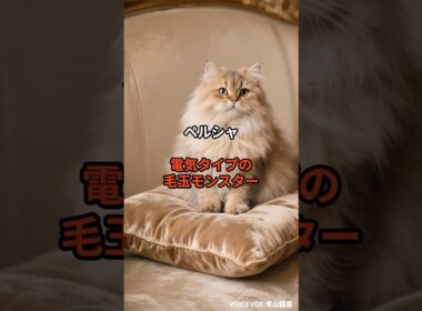 【ペルシャ②】電気タイプの毛玉モンスター #shorts #動物 #雑学 #猫 #ネコ