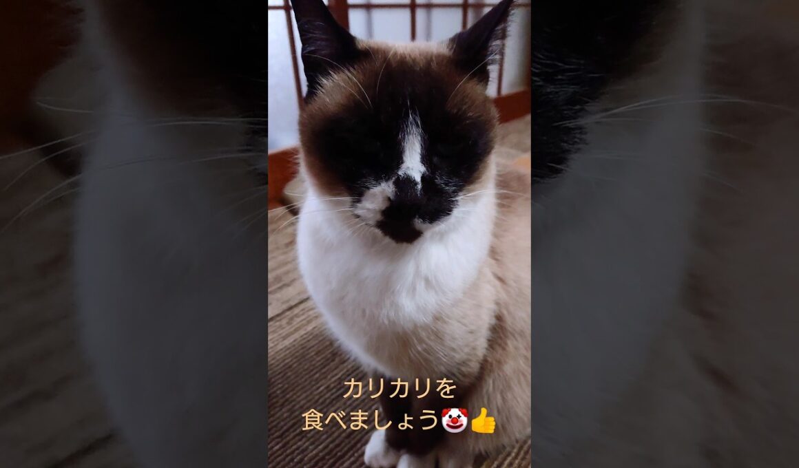 物足りない顔を なされておられます😅