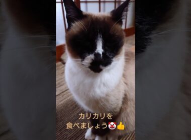 物足りない顔を なされておられます😅