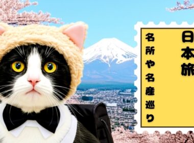 【ハチワレ猫のぶらり日本旅】名所もグルメも楽しむにゃ🐱