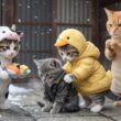 🐱💛 やさしい子猫が野良猫にお寿司を分けた夜｜心あたたまる猫の物語 🍣❄️
