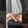 窓際で甘える猫アレクサンドラ【スフィンクス】