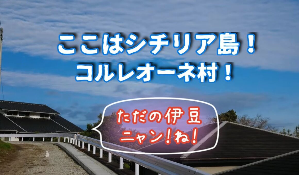 【さんぽねこのゆきちゃん】熱海生まれのジャパニーズ・ボブテイルという猫│さんぽねこのゆきちゃん│のんびりでのどかな唯一無二の家猫の町散歩│熱海│伊豆│猫のいる暮らし│保護猫│野良猫