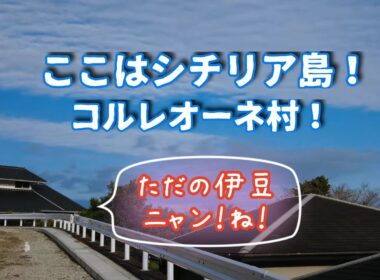 【さんぽねこのゆきちゃん】熱海生まれのジャパニーズ・ボブテイルという猫│さんぽねこのゆきちゃん│のんびりでのどかな唯一無二の家猫の町散歩│熱海│伊豆│猫のいる暮らし│保護猫│野良猫