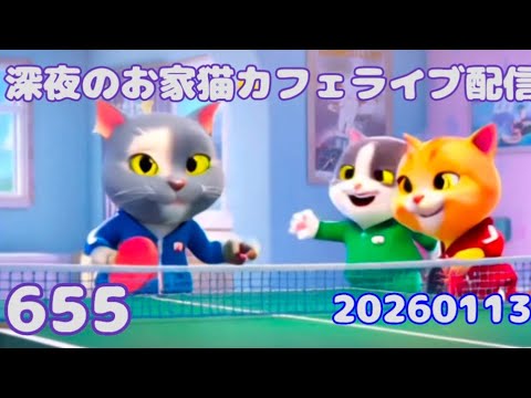 深夜のお家猫カフェライブ配信 ６５５