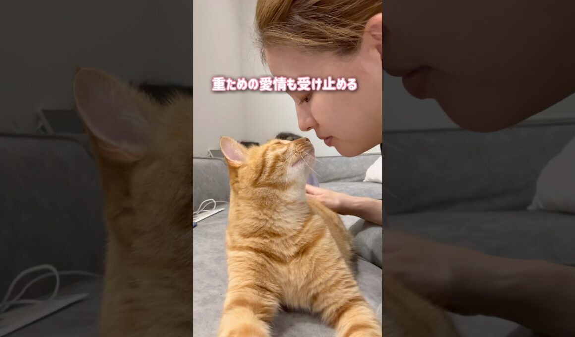 ママからの愛情を一身に受け止める猫