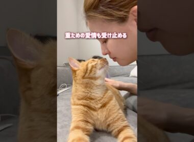 ママからの愛情を一身に受け止める猫