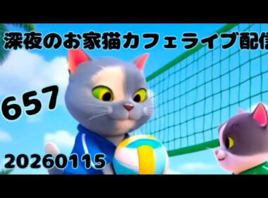 深夜のお家猫カフェライブ配信 ６５７