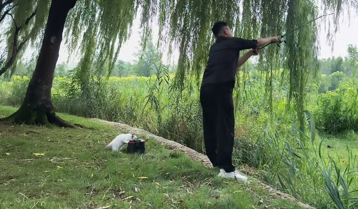 Went Fishing in the Park Empty-Handed, but Unexpectedly "Caught" a Ragdoll Cat