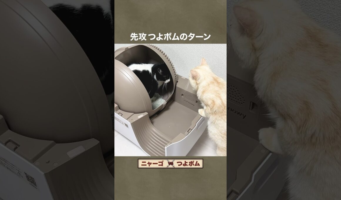 全自動便所マシン対決　#遊戯王