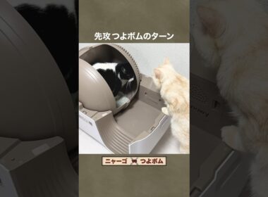 全自動便所マシン対決　#遊戯王