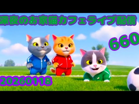 深夜のお家猫カフェライブ配信 ６６０