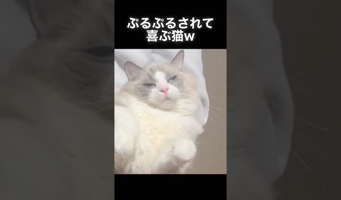 これが気持ちいいのかい・・・？？