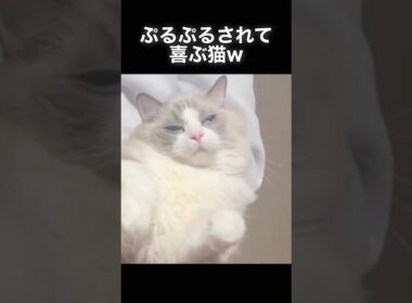 これが気持ちいいのかい・・・？？