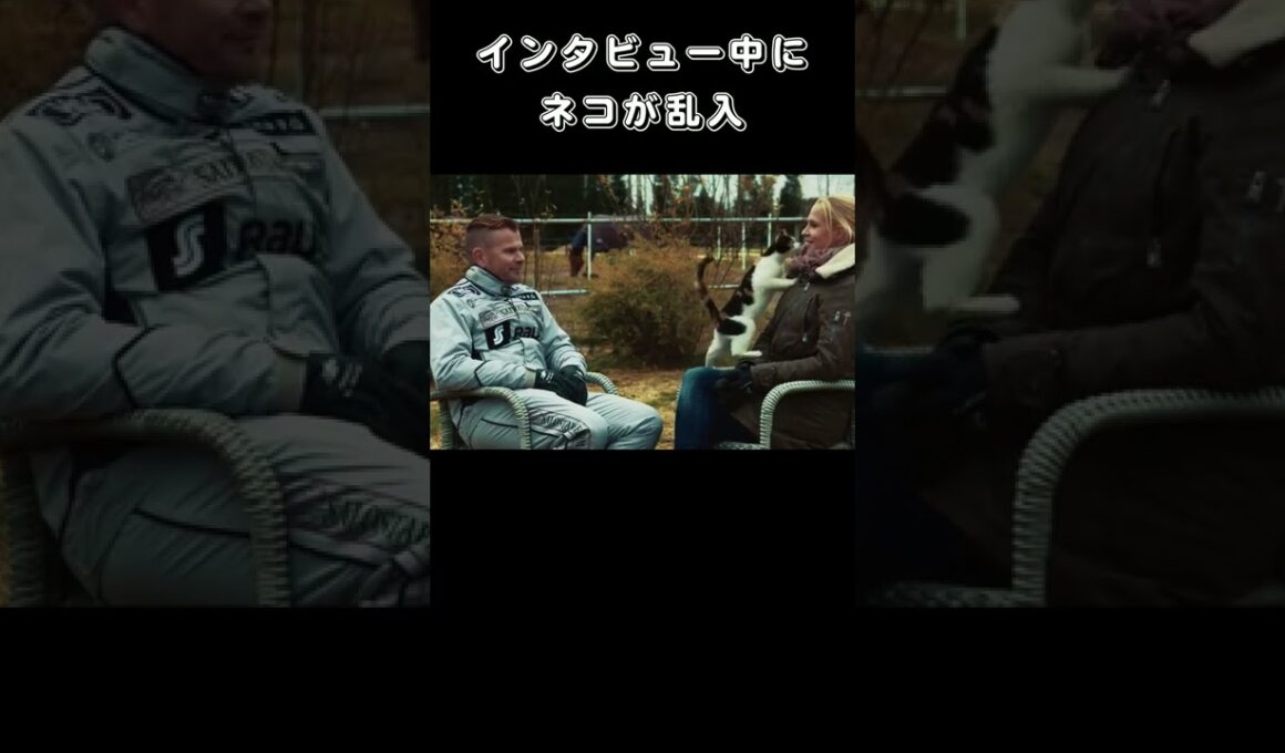 インタビュー中にネコが乱入
