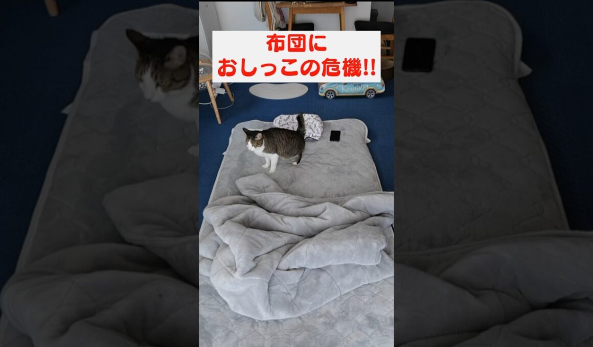 マジで焦りました…