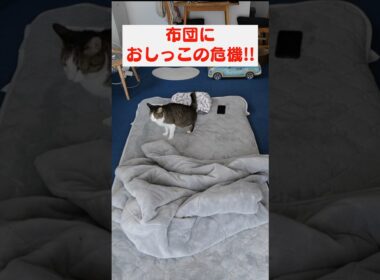 マジで焦りました…