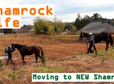 あの頃は何もなかった/NEWシャムロックへ移動Vlog