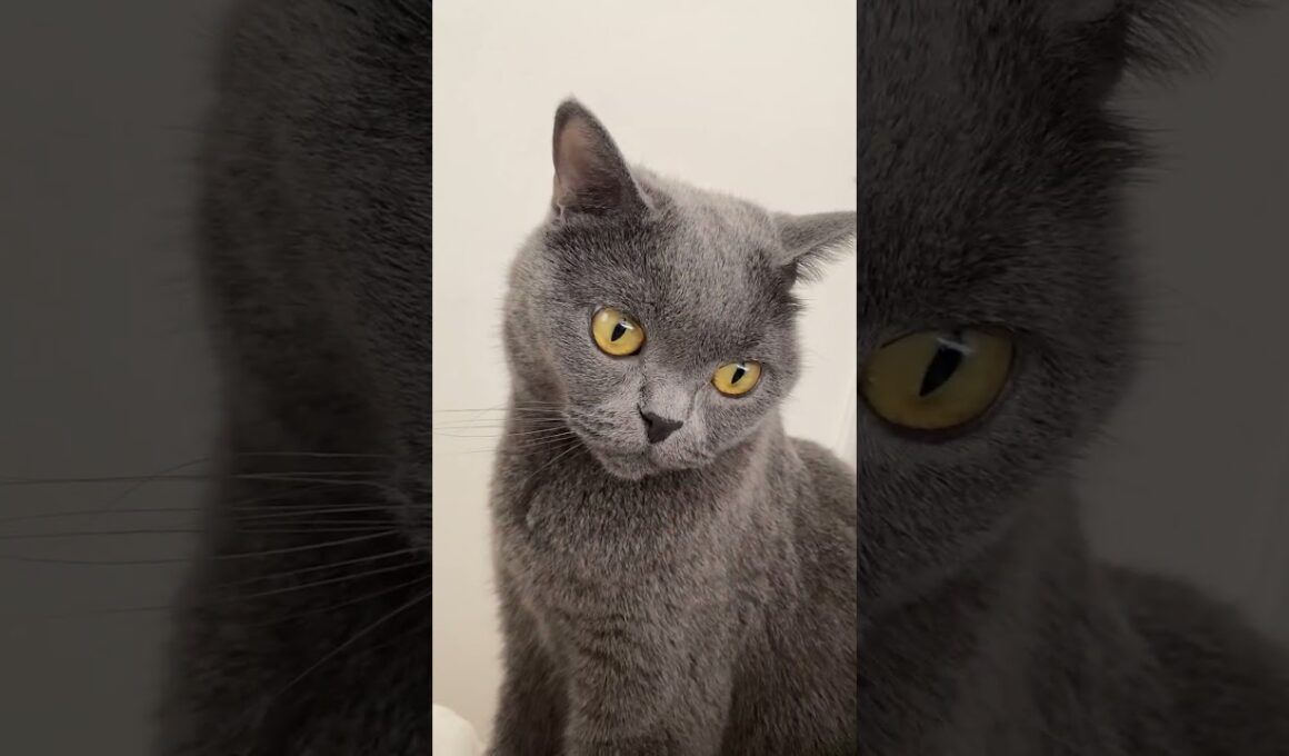 おこしにきたよ❤️