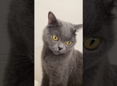 おこしにきたよ❤️